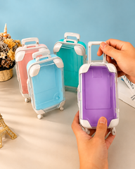 Mini Suitcase Style Travel Organizer