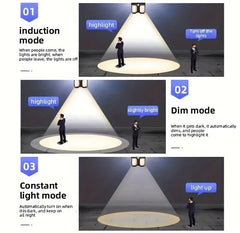 Twin Solar Motion Sensor Light