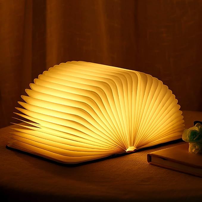 LED Wooden Book Lamp